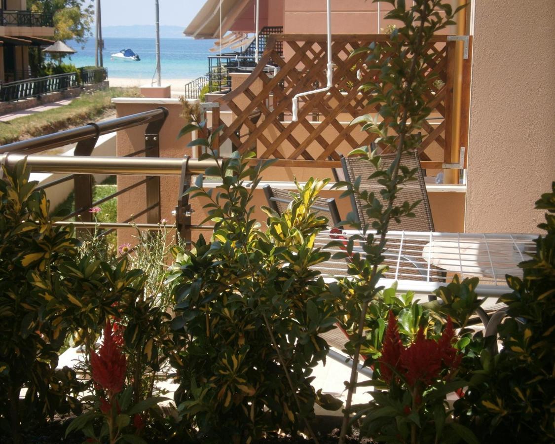 Dafni'S Seaside Luxury Studios Nikiti  Exterior photo